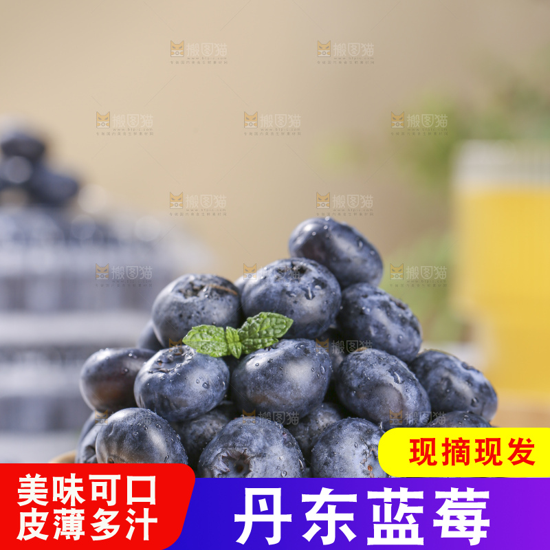 浅底上的新鲜蓝莓