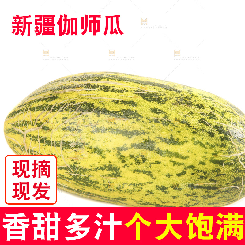 白底上放着新疆伽师瓜