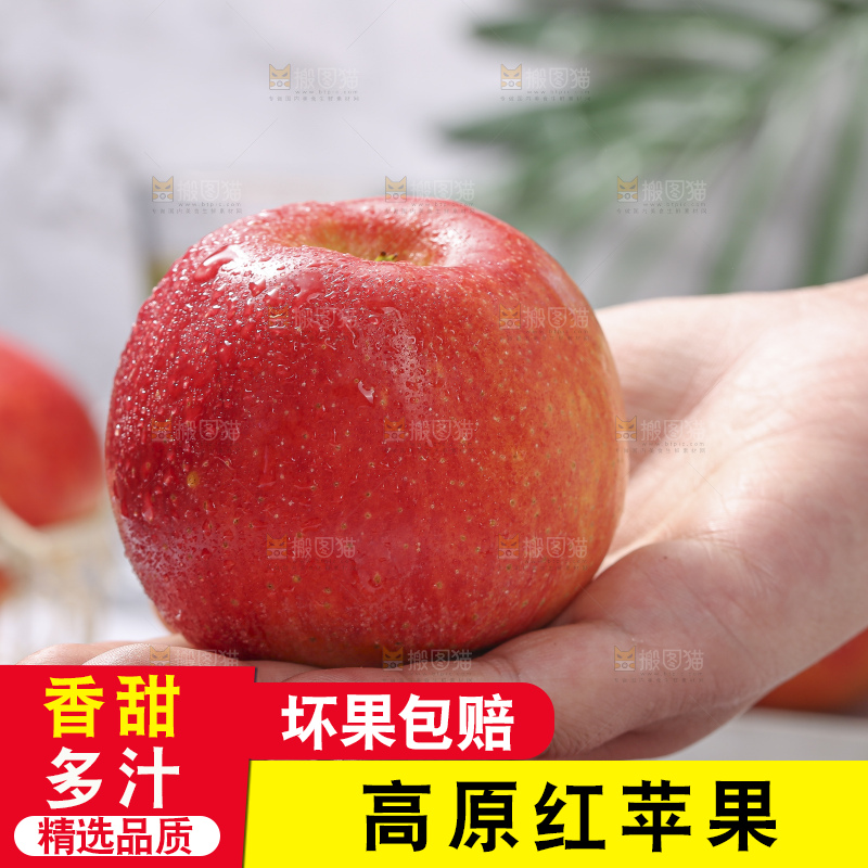 浅底上的高原红苹果