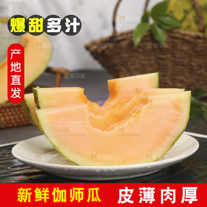 深底上的新疆伽师瓜
