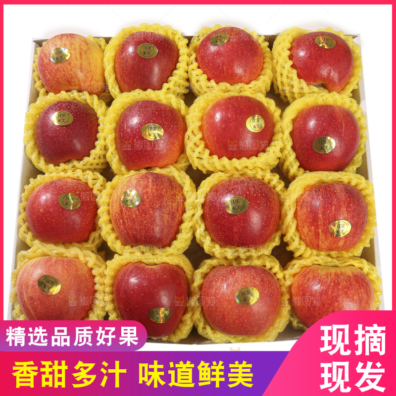 白底上的高原红苹果