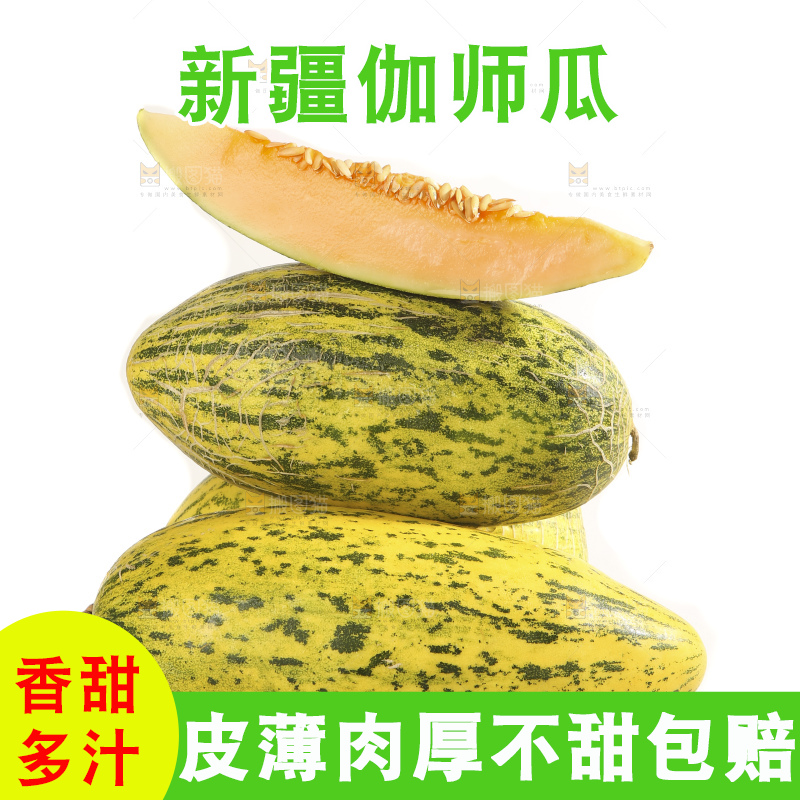 白底上放着新疆伽师瓜