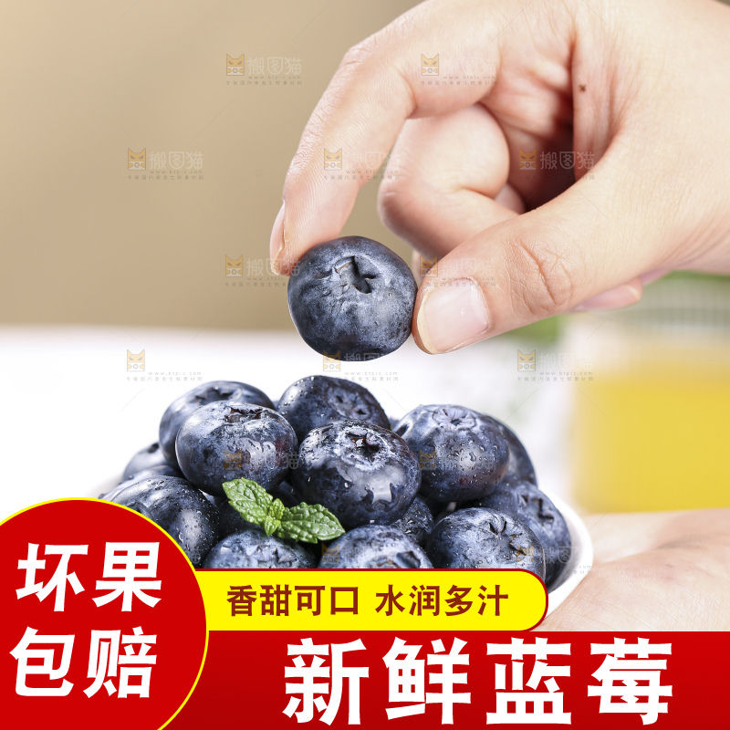 浅底上的新鲜蓝莓