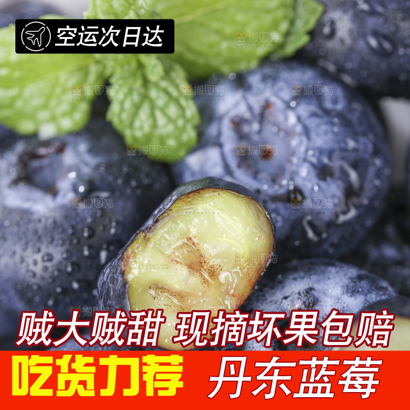 浅底上的新鲜蓝莓