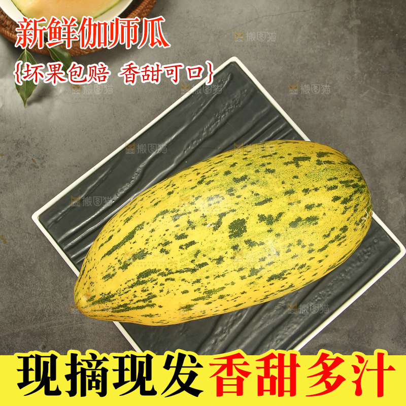 深底上的新疆伽师瓜