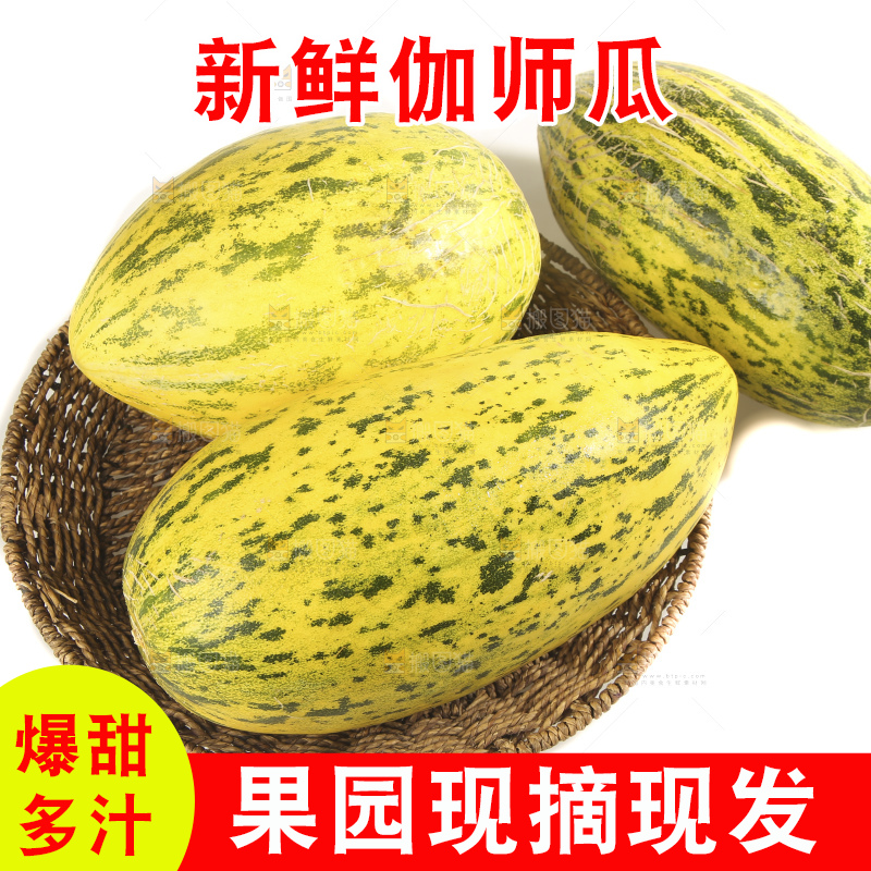 白底上放着新疆伽师瓜