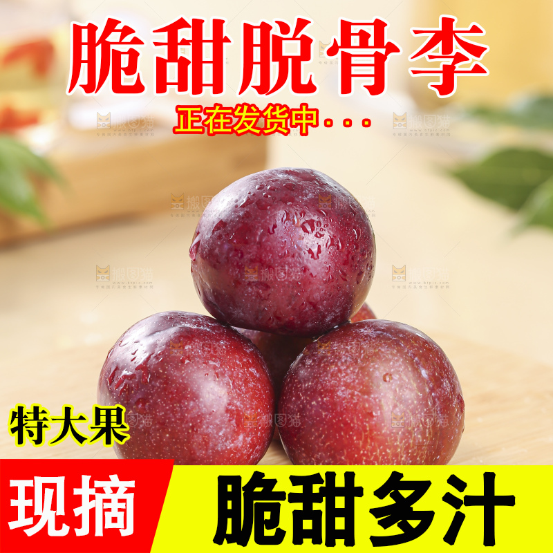 浅底上的脆红李