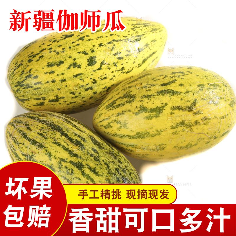 白底上放着新疆伽师瓜