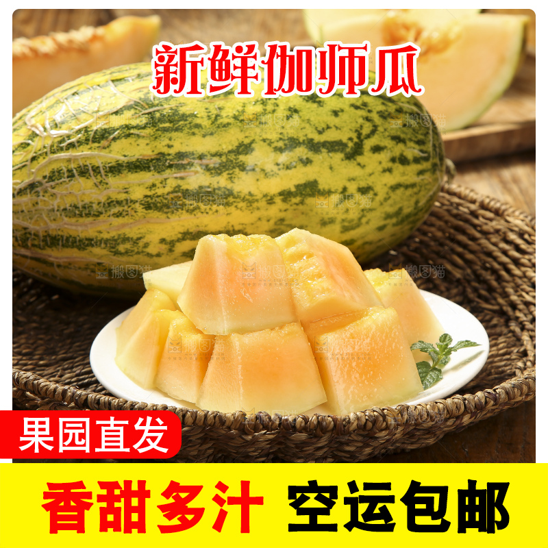 木底上放着伽师瓜