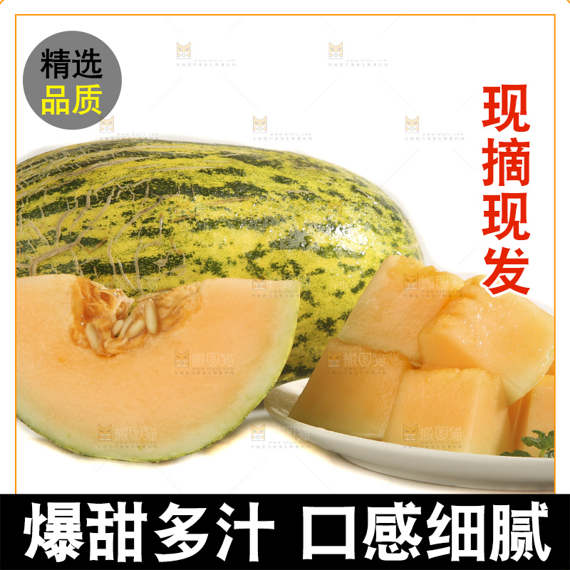 白底上放着新疆伽师瓜