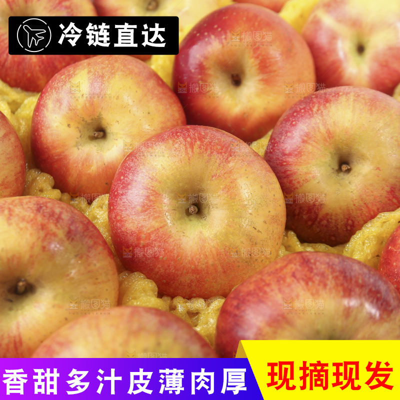 浅底上的高原红苹果