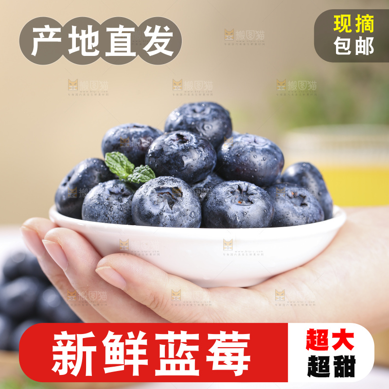 浅底上的新鲜蓝莓