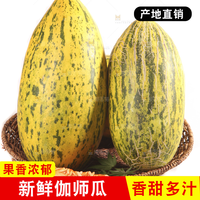白底上放着新疆伽师瓜
