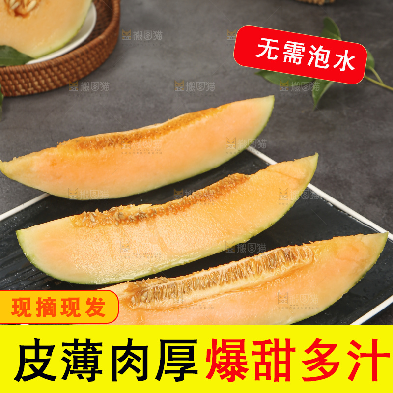深底上的新疆伽师瓜