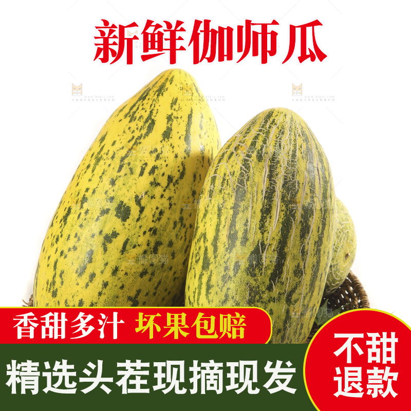 白底上放着新疆伽师瓜