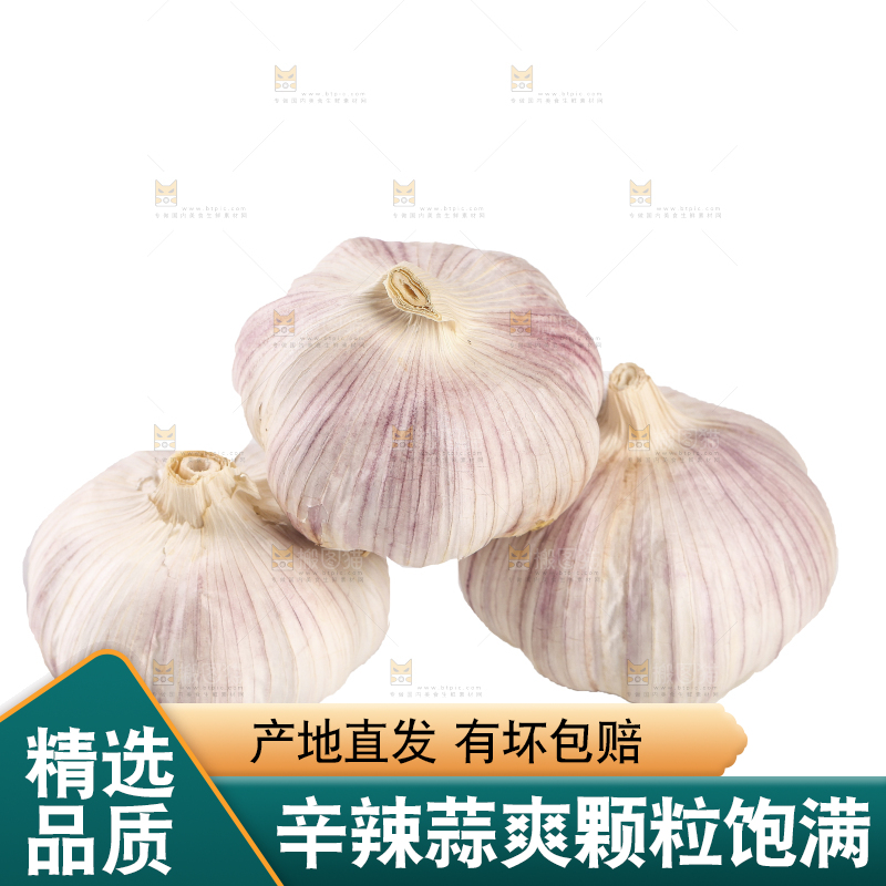 白底上的干蒜