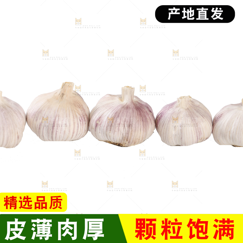 白底上的干蒜