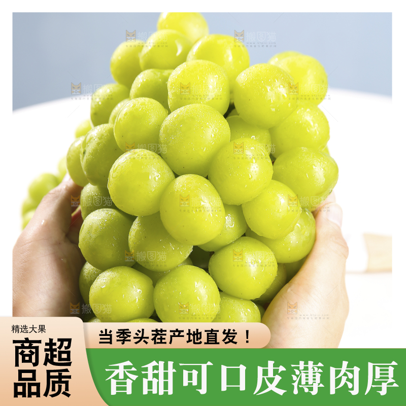 手里拿着阳光玫瑰