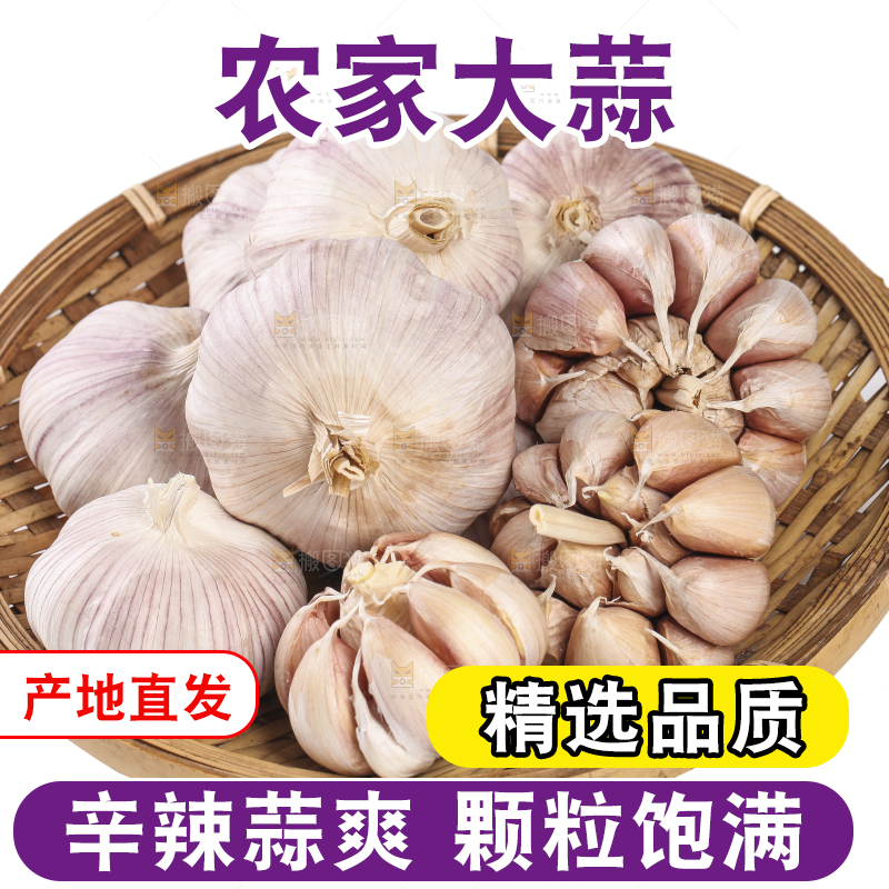 白底上的干蒜