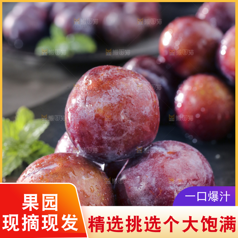 深底上放着脱骨李