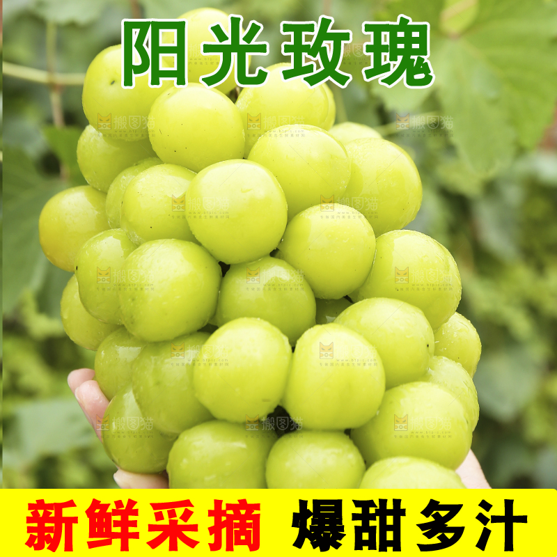 手里拿着阳光玫瑰
