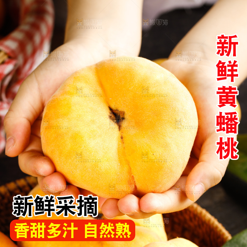 深底上的黄毛蟠桃