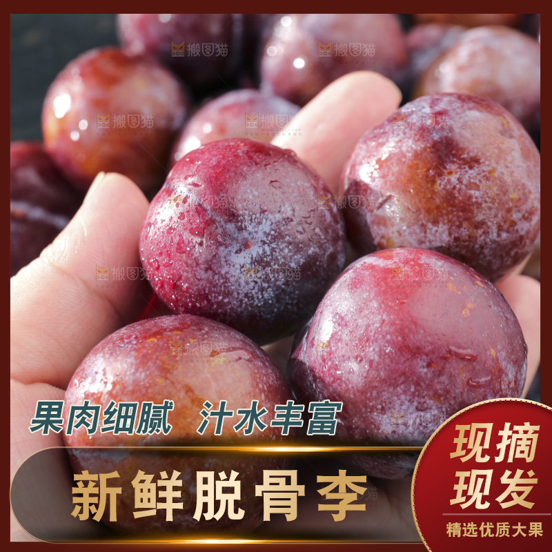 深底上放着脱骨李