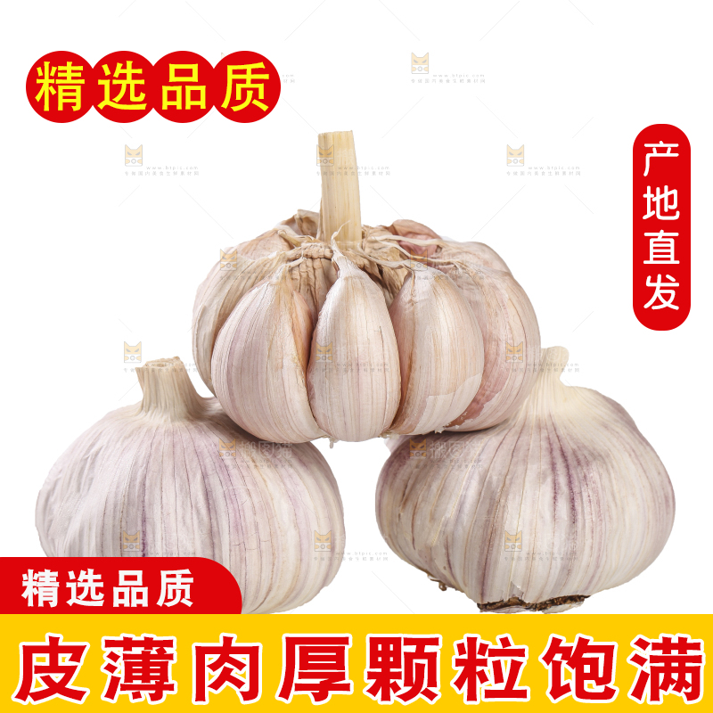 白底上的干蒜