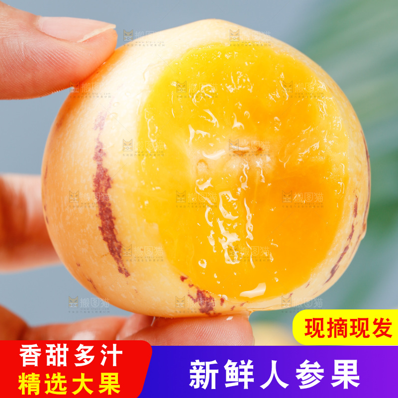浅底上摆放着黄肉人参果