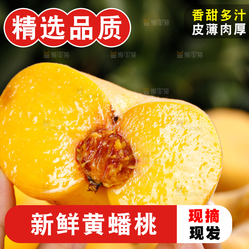 深底上的黄毛蟠桃