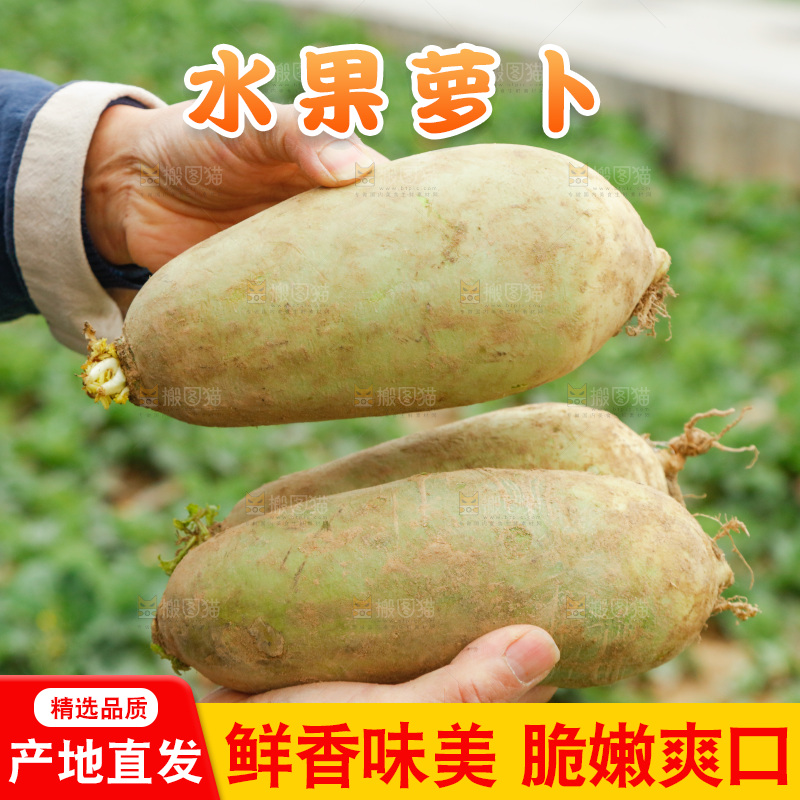 手里拿着水果萝卜