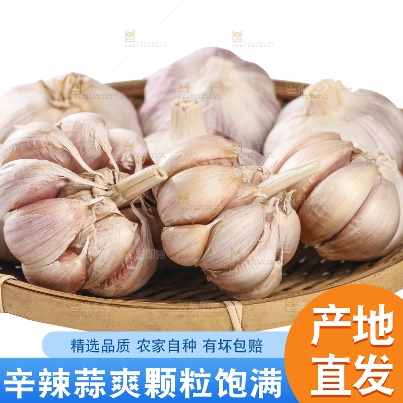 白底上的干蒜