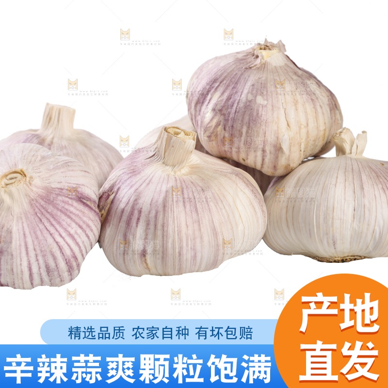 白底上的干蒜