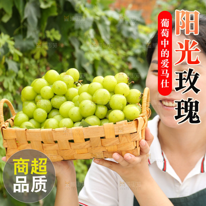 手里拿着阳光玫瑰