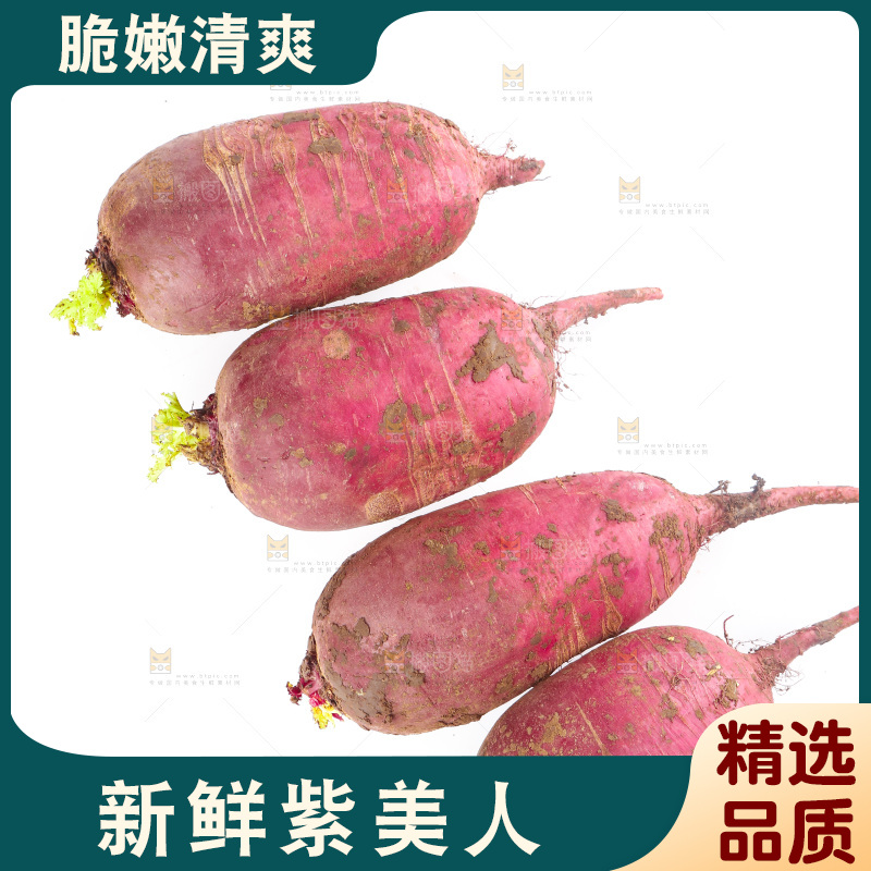 白底上的紫美人萝卜
