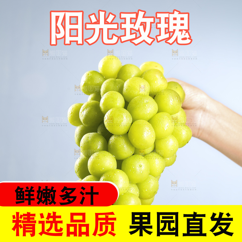 手里拿着阳光玫瑰