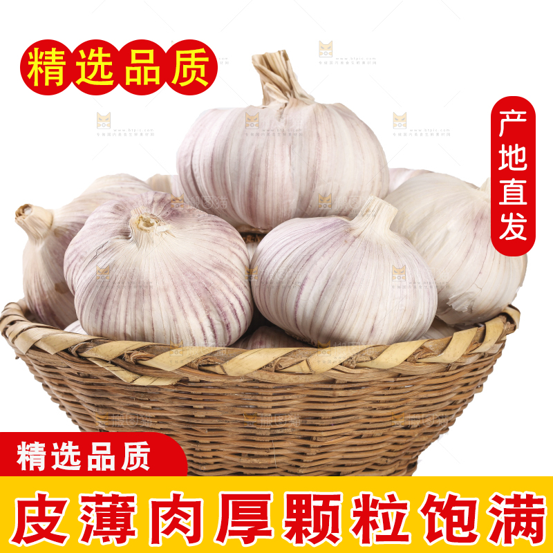 白底上的干蒜