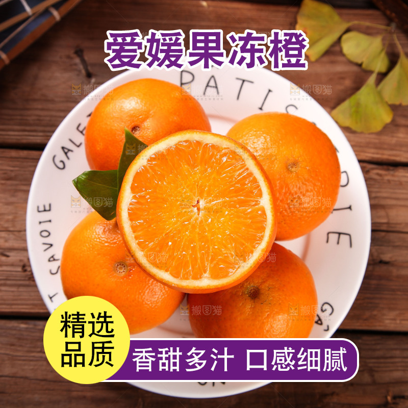 深木底上的爱媛38号