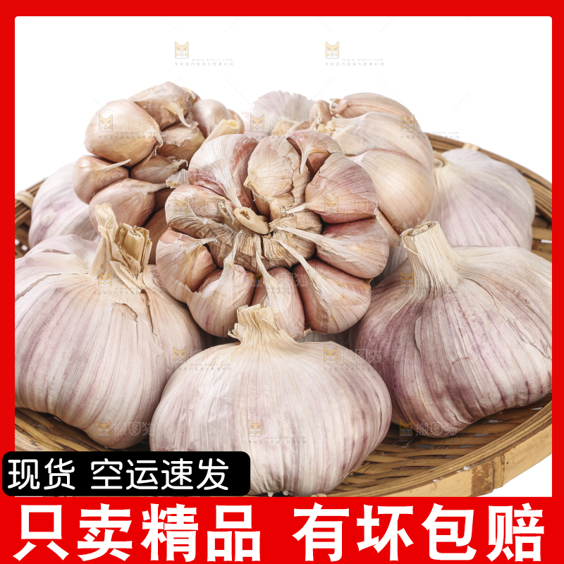 白底上的干蒜