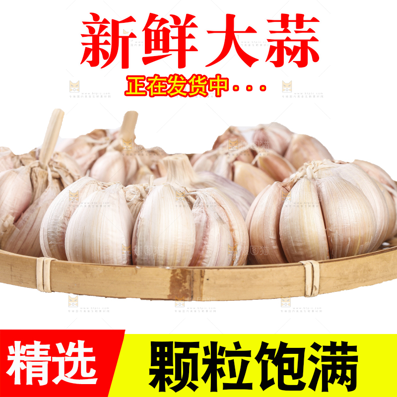 白底上的干蒜