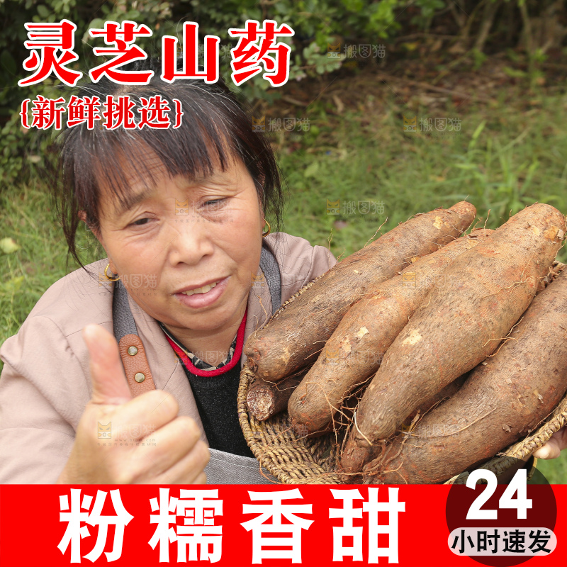 手里拿着灵芝山药