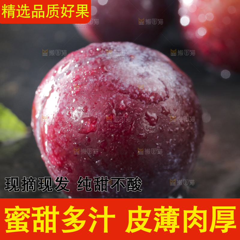 深底上放着脱骨李