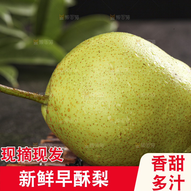 深底上放着的新鲜早酥梨