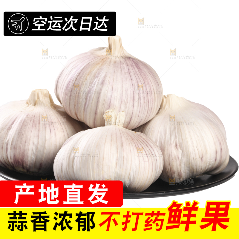 白底上的干蒜
