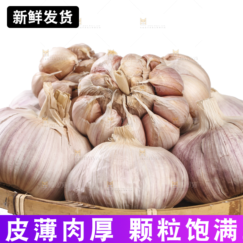白底上的干蒜