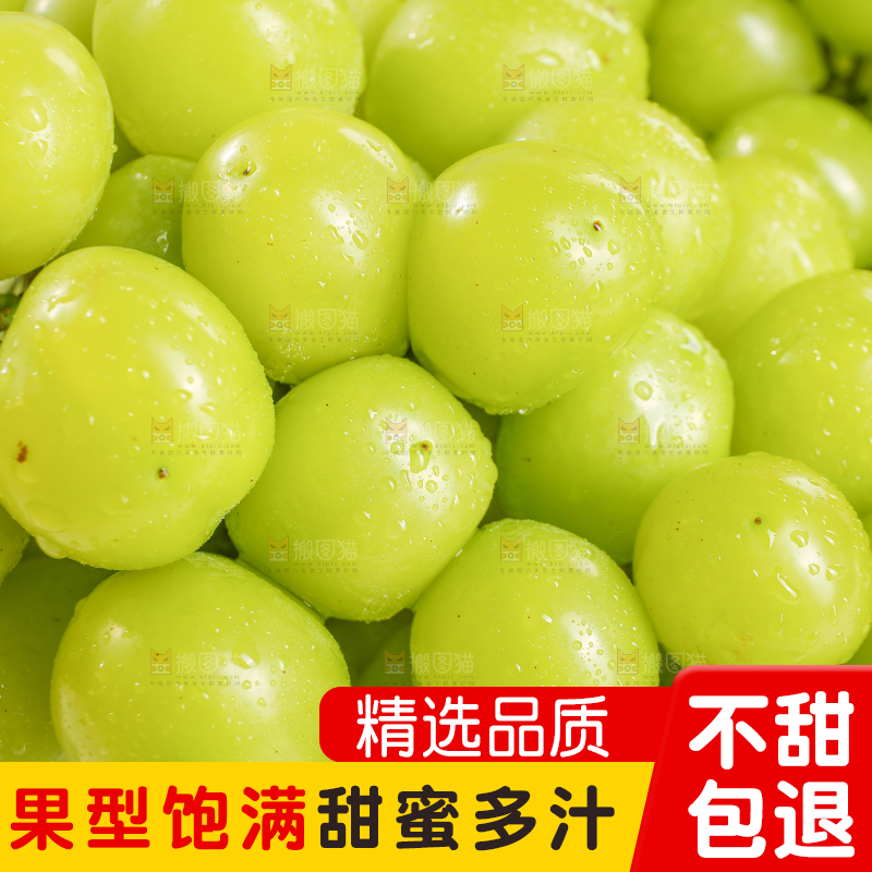浅底上的晴王香印青提