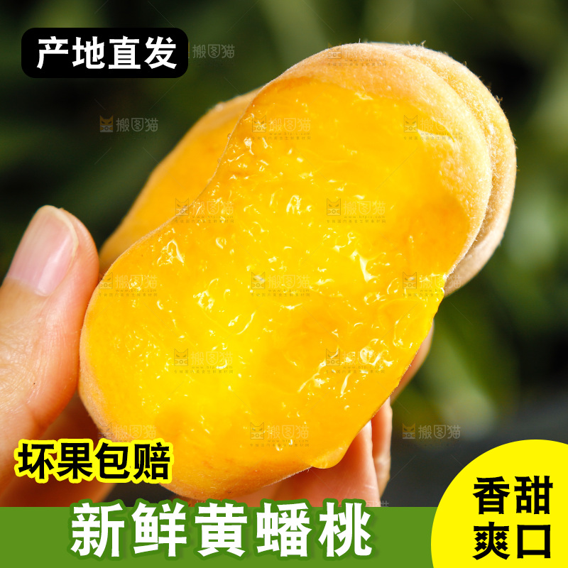 深底上的黄毛蟠桃