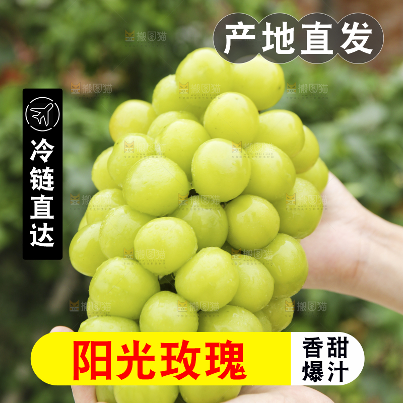 手里拿着阳光玫瑰