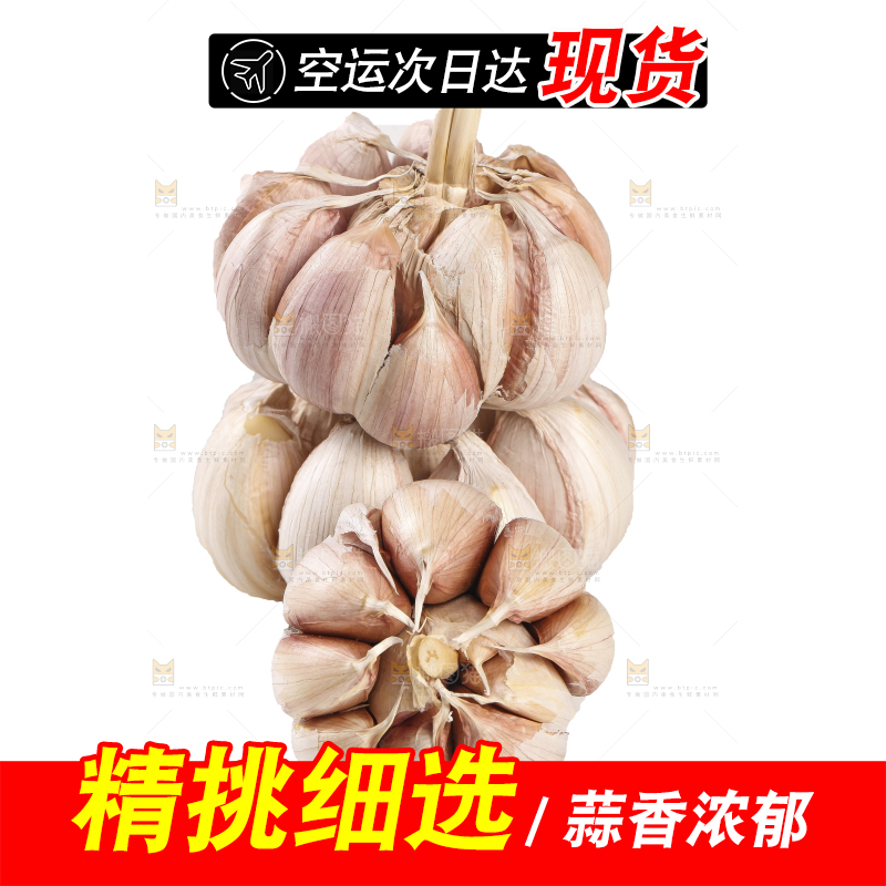 白底上的干蒜