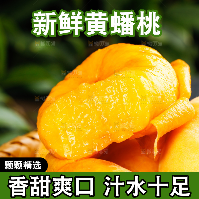深底上的黄毛蟠桃